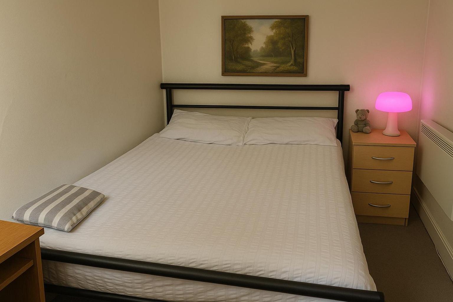Comfy 2 Bedroom Flat Near Edinburgh City Center Edimburgo Exterior foto